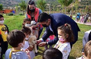 Minik öğrencilerin Pati Park keyfi