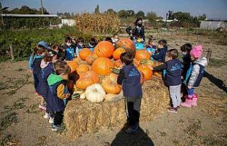 Minikler üretimi yerinde gördü
