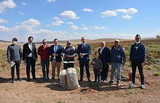 Mor şifa topraktan çıkartıldı