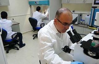 MŞÜ’de kanser tedavisine elektrokemoterapi çözümü