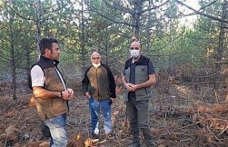 Müdür Keskin: “Ormanlarımıza daha iyi gelişme...