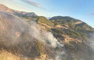 Muğla’da gece başlayan orman yangınını söndürme...