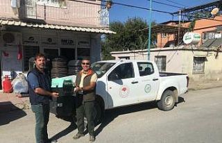 Muhtar vampir yarasalardan şikayetçi