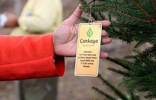 Muhtarlar Bademlidere’ye fidan dikti