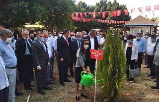 Muhtarlar fidan dikti