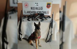 Muş’ta silah kaçakçılığı operasyonunda 4...