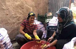 Narın ekşili şifa yolculuğu başladı