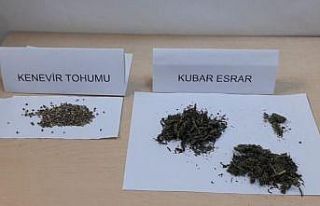 Narkotik köpeği şüphelenince, uyuşturucu madde...