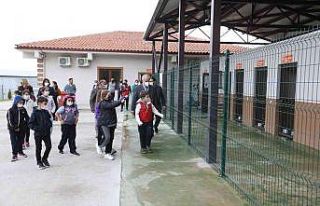 Öğrenciler sokak hayvanlarını ziyaret etti