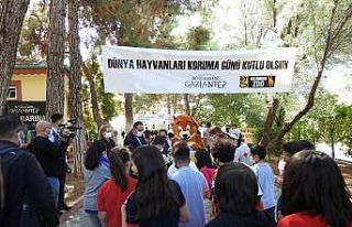 Öğrenciler tedavi gören hayvanları besledi