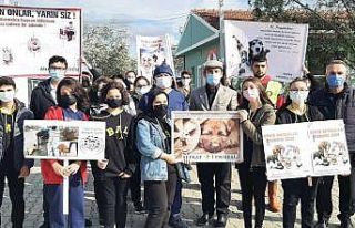 Öğrencilerden hayvanlara şefkat eli