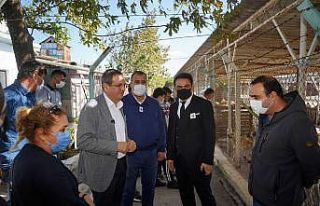 Öğrencilerle birlikte barınak ziyareti