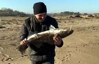 Oltayla 5 kiloluk lüfer yakaladı, böyle sevindi