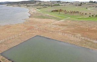 Ömerli Barajı’nda tellere takılıp telef olan...