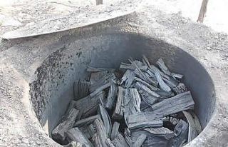 Ömrünü katrana adadı