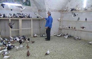 Ömrünü kuşlara adadı