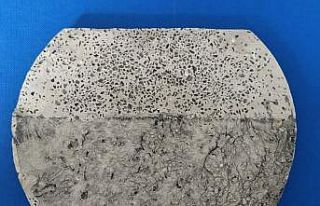 OMÜ’lü akademisyene jüri özel ödülü