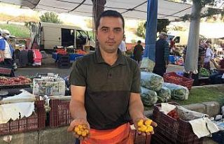 On bin kilometre öteden geldi, vatandaşların ilgi...