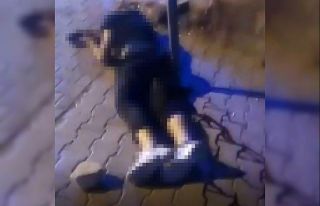 Önce bıçaklandı, sonra kafasına taşla vurularak...