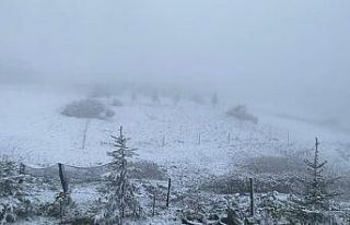 Ordu yaylalarında kar güzelliği