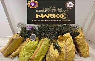 Ordu’da 150 kilo esrar ele geçti: 3 gözaltı