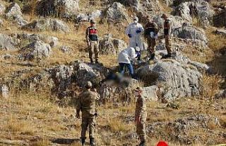 Ormanlık alanda ceset bulundu