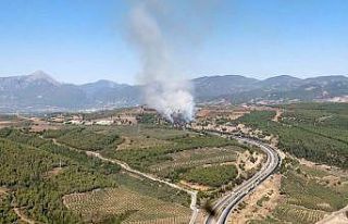 Osmaniye’de çıkan orman yangını kontrol altına...