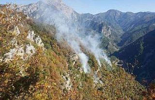 Osmaniye’de orman yangını