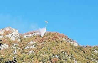 Osmaniye’de orman yangını büyümeden söndürüldü