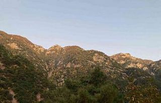 Osmaniye’deki orman yangını söndürüldü