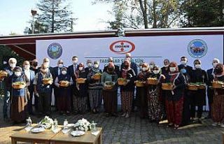 Osmanlı Çileği fideleri üreticilerle buluştu,...