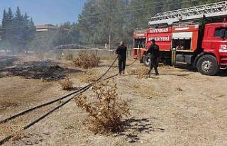 Otluk yangını çamlık alana sıçramadan söndürüldü