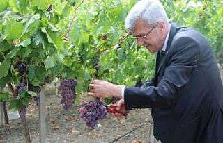 (Özel) 5 yıl önce teşvik için oluşturulmuştu,...