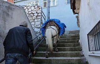 (Özel) Araçların girmediği mahalleye atıyla yük...