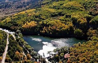 (Özel) Başkent’tin Karagöl’ünde renk cümbüşü