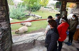 Özel bireyler hayvanları tanıdı