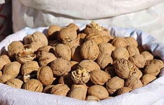 (Özel) Ceviz dalında 20 tezgahta 30-50 lira