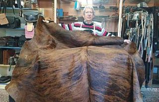 (Özel) Dana derisi halılar ev ve iş yerlerini süslüyor