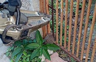 (ÖZEL) Demir parmaklıklara sıkışan kirpiyi itfaiye...