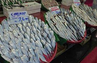 (Özel) “Doğal aşı balık"