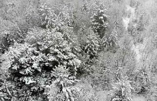 (Özel) Erzincan’ın yüksek kesimlerinde kar yağışı...