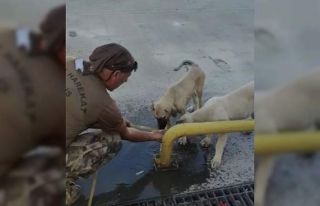 Özel harekat polisi yaptığı hareketle yürekleri...