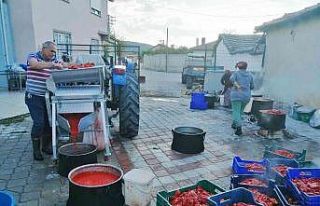 (Özel) İmece usulü ile salça yapıyorlar