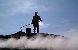 (ÖZEL) Mangal kömürü işçilerinin bin 400 rakımdaki...