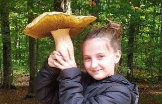 (Özel) Mantar avcısı minik kız 2 kiloluk dev mantar...