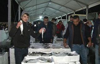 (ÖZEL) Marmara Denizi’nde lüfer bolluğu balıkçıların...