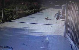 (Özel) Motosikletle köpekten kaçarken yol kenarındakilere...