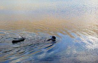 (Özel) Öğretim üyesi Türkiye’nin en yüksek...