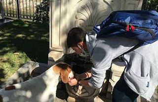 (Özel) Vefalı köpek, kendisine su içiren öğrenciyi...