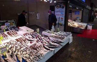 Palamut fiyatını ikiye katladı